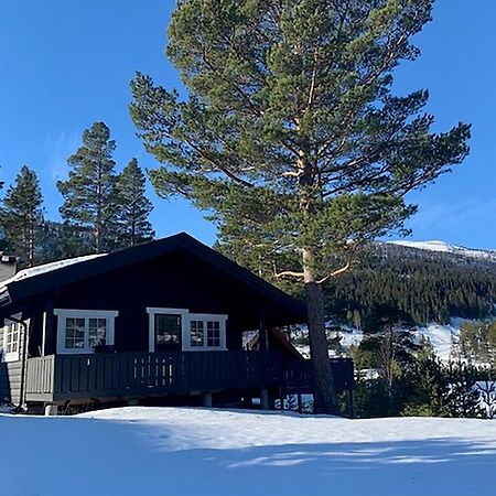 Uvdalhytta - Close To Cross Country And Downhill Skiing Sonstebo Eksteriør bilde