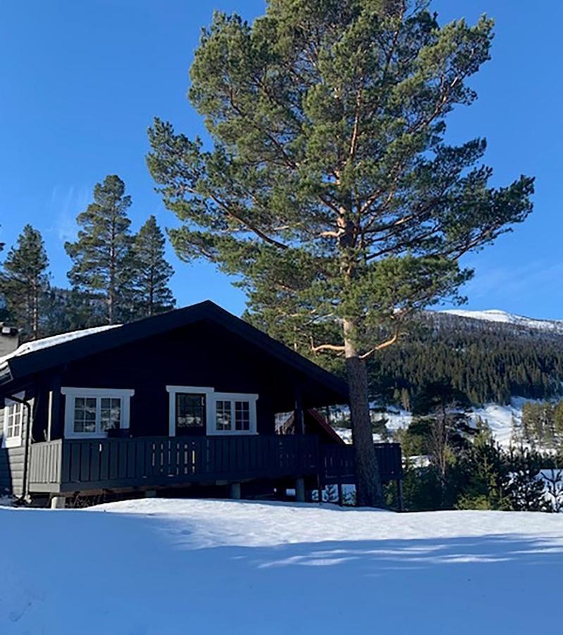 Uvdalhytta - Close To Cross Country And Downhill Skiing Sonstebo Eksteriør bilde