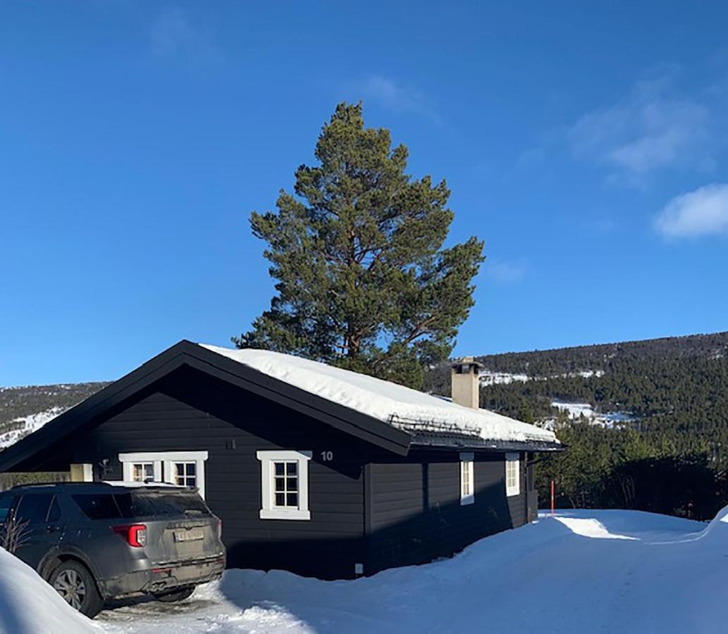 Uvdalhytta - Close To Cross Country And Downhill Skiing Sonstebo Eksteriør bilde